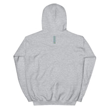 Load image into Gallery viewer, AWARD WINNING Heathered Hoodie - Blush