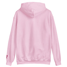 Load image into Gallery viewer, WORK OF ART Embroidered Pullover Hoodie - Blush Pink
